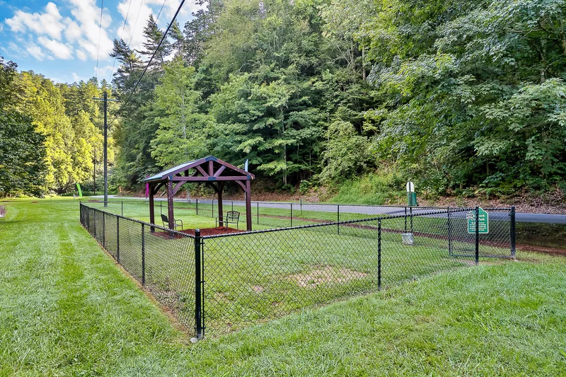 Disc golf basket beside a wooded grassy path
